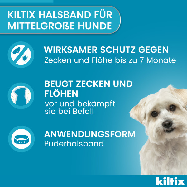 KILTIX Halsband f.mittelgroße Hunde