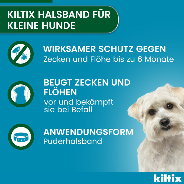 KILTIX Halsband f.kleine Hunde