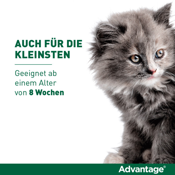 ADVANTAGE 40 mg Lsg.f.kl.Katzen/kl.Zierkaninchen
