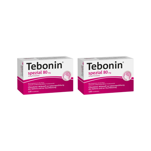 TEBONIN spezial 80 mg Filmtabletten (2x120 St)