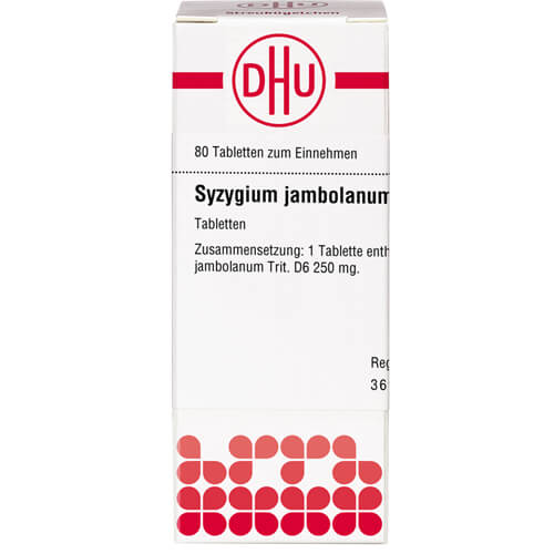 SYZYGIUM JAMBOLANUM D 6 Tabletten
