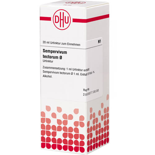 SEMPERVIVUM tectorum Urtinktur