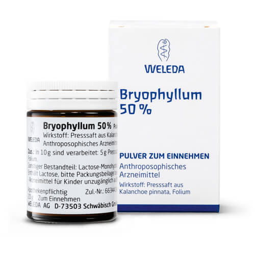 BRYOPHYLLUM 50% Pulver zum Einnehmen