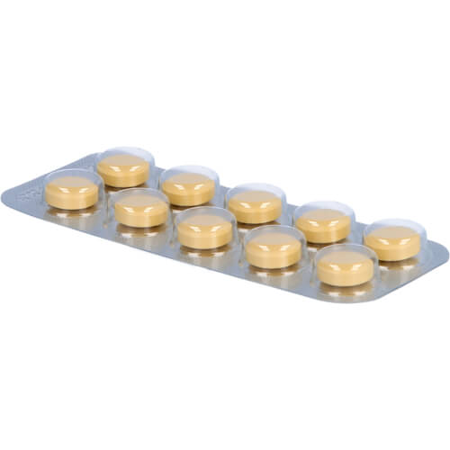 GINGOBETA 40 mg Filmtabletten