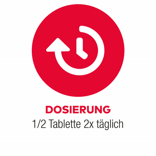 GINKGO AL 240 mg Filmtabletten