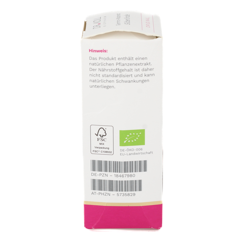 GEMMO-MAZERAT Silberlinde Dr.Koll Tilia tomen.Tro.