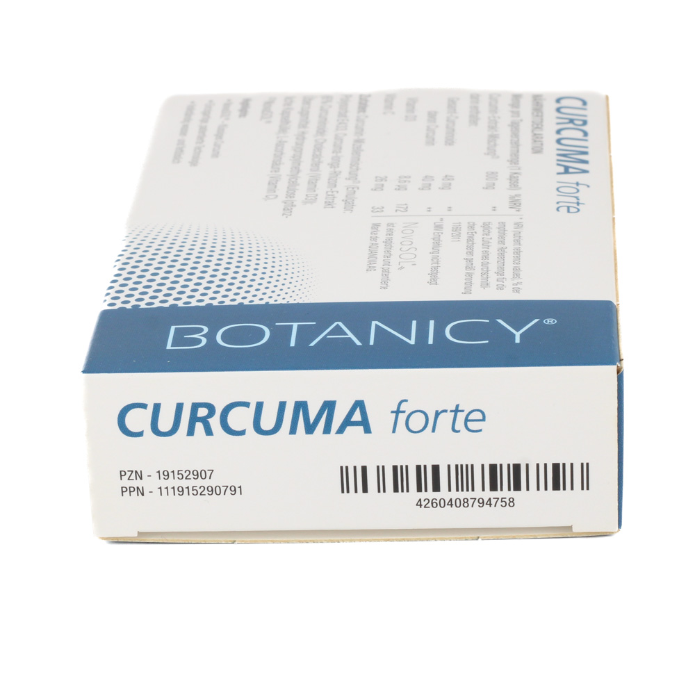 CURCUMA FORTE Kapseln