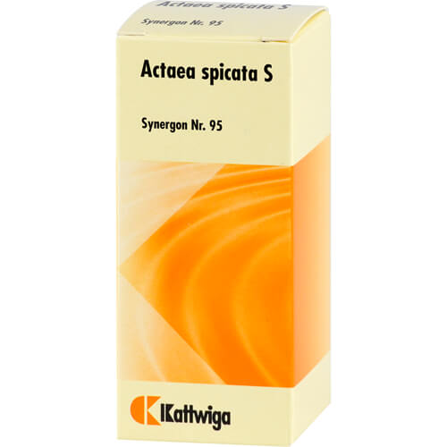 SYNERGON KOMPLEX 95 Actaea spicata S Tropfen