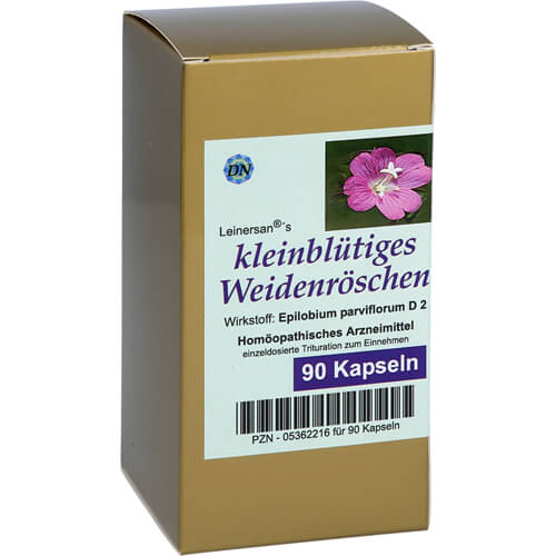 KLEINBLÜTIGES WEIDENRÖSCHEN Kapseln