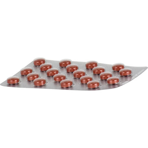 GINKOBIL-ratiopharm 80 mg Filmtabletten